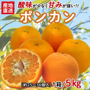 【5kgセット】 愛媛県産ポンカン YDF-002
