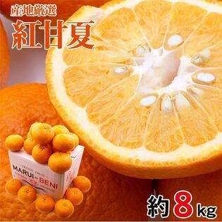 【予約受付】3/20~順次出荷【約8kg】紅甘夏 地域厳選 サイズお任せ