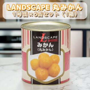 【賞味期限間近】LANDSCAPE みかん（丸みかん）1号缶【1箱（6缶入）】  3kg シロップ漬