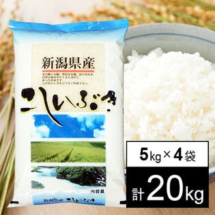 【計20kg/5kgx4袋】令和7年産 越後の米 新潟県産 こしいぶき 白米