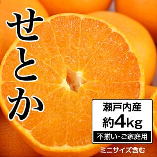【約4.0kg】 瀬戸内産 せとか (ご家庭用・サイズ不選別)
