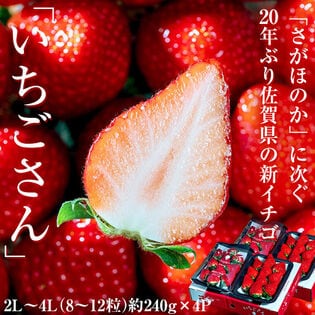 【約240g×4パック(1Pの目安8~12粒)】佐賀県産いちごさん 2L~4Lサイズ
