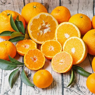 【7kg】愛媛県産 吉田みかん詰合せファミリーセット（ご家庭用・サイズ込・枝傷・黒点等あり）