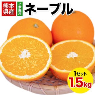 【1.5kg】ネーブル※ご家庭用（傷あり サイズ不選別）