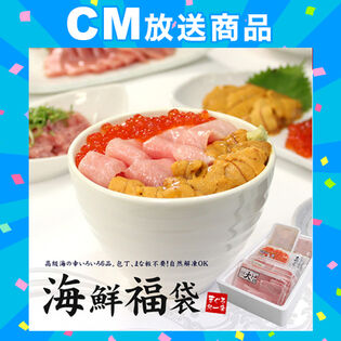本マグロ大トロ入り海鮮福袋 ウニ いくら 中トロ ネギトロ 漬け 増量版[[海鮮福袋-2p]