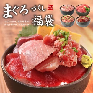 【計410g】まぐろ尽くし福袋 大トロ 中トロ ネギトロ 漬け 海鮮セット [マグロ尽くし福袋]