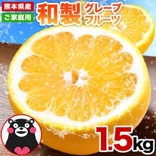 【予約受付】3/16~順次出荷【1.5kg】熊本県産 和製グレープフルーツ(河内晩柑)※ご家庭用