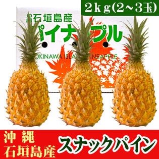 【予約受付】4/27~順次出荷【2kg(2~3玉)】石垣島産 スナックパイン（ボゴールパイン）