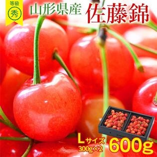 【予約受付】6/20~順次出荷【計600g/Lサイズ】山形県産さくらんぼ[佐藤錦] 秀品