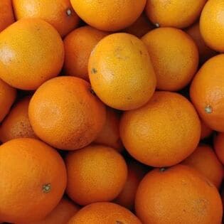 【3kg】新品種 愛媛果試48号(愛称：よんぱち) ※(傷アリ・複数サイズ込み)