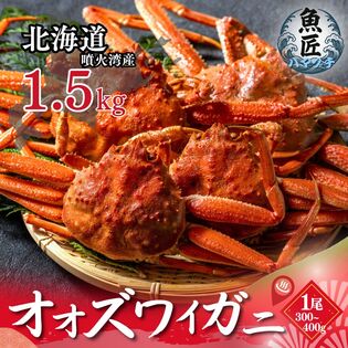 【北海道産】 オオズワイガニ 1.5kg 姿 ボイル （3-6尾）