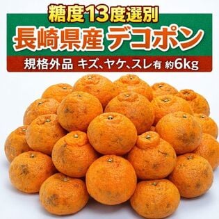 【約6kg】規格外品 長崎県産 糖度13度選別「デコポン」(キズ、ヤケ、スレ有り)