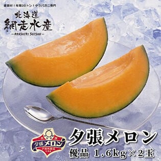 【予約受付】6月中旬以降順次出荷　夕張メロン優品 1.6kg×2玉