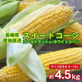 【予約受付】5/20~順次出荷【約4.5kg(9~18本)】朝採れスイートコーン【冷蔵】
