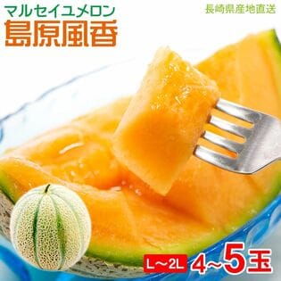 【予約受付】5/30~順次出荷【4~5玉(L~2L)】マルセイユメロン 島原風香