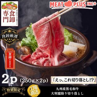 【計500g/250g×2P】九州産黒毛和牛 霜降り大判切り落とし 《感謝とねぎらいを込めて》