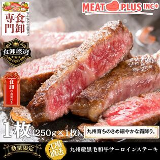 【250g】九州産黒毛和牛 サーロインステーキ 至福のひとときを贈る贅沢体験