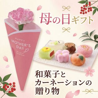 【予約受付】5/7~順次出荷【2026年母の日】母の日ピンクカーネーション&京菓子花しおり