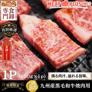 【250g】九州産黒毛和牛 焼肉用 きれいなサシととろける脂の旨み