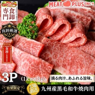 【計750g/250g×3P】九州産黒毛和牛 焼肉用 きれいなサシととろける脂の旨み