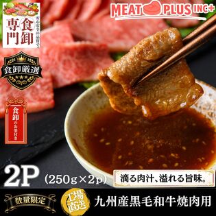 【計500g/250g×2P】九州産黒毛和牛焼肉用 《感謝を伝える焼肉ギフト》