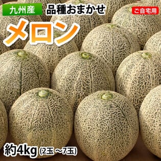 【予約受付】5/22~順次出荷【2~7玉 約4kg】九州産 メロン 品種おまかせ ご自宅用