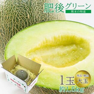 【予約受付】5/20~順次出荷【1.5kg以上(1玉)】熊本県産 肥後グリーン