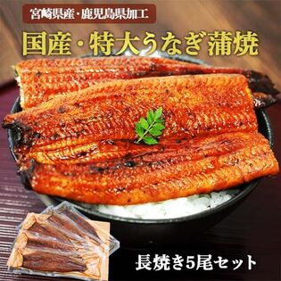 【約160g×5パック】国産 特大うなぎ蒲焼 長焼き5尾セット