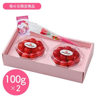 【予約受付】5/7~順次出荷【100g×2】山形県産ハウスさくらんぼ佐藤錦ダイヤパック母の日セット