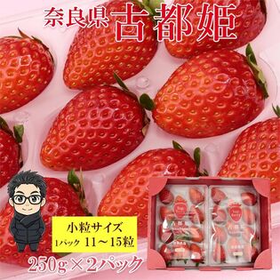 【計500g/250g×2パック】新品種いちご 奈良県産 古都姫 小粒サイズ