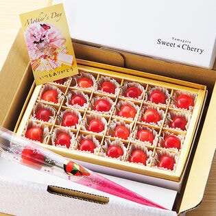【予約受付】母の日ギフト ハウスさくらんぼ(佐藤錦)チョコ箱詰めM玉・24粒入り