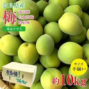 【予約受付】5/25~順次出荷【約10kg】青梅 鶯宿梅 秀品