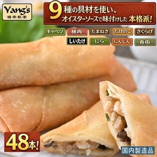 【48本】9種の具材ぎっしり！五目春巻き