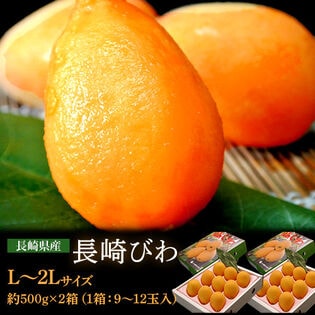 【計約1kg/約500g(9〜12玉)×2箱】長崎県産 長崎びわ【冷蔵】