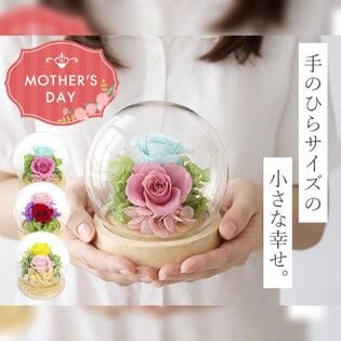 【希(ブルー)】ドーム型 プリザーブドフラワーアレンジメント