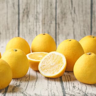 【8kg】ちび玉宇和島ゴールド ※葉傷・枝傷・黒点等の傷あり、サイズ込み