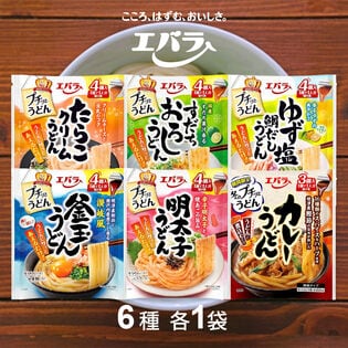 【計6袋/6種×各1袋】エバラ プチっとうどん6種類セット