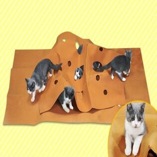 折り畳んで収納もできて便利！楽しく遊べる「猫ちゃんのストレス解消折り畳めるトンネルマット」