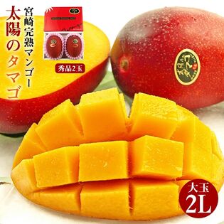 【予約受付】6/15~順次出荷【2玉/2Lサイズ】太陽のタマゴ 宮崎完熟マンゴー