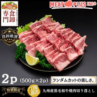 【計1kg/500g×2P】九州産黒毛和牛 焼肉用切り落とし《多彩な和牛の旨味をお手頃に》