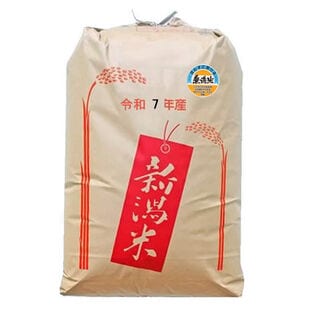【30kg】 令和7年産 おいしいもち米 新潟県産わたぼうし 無洗米