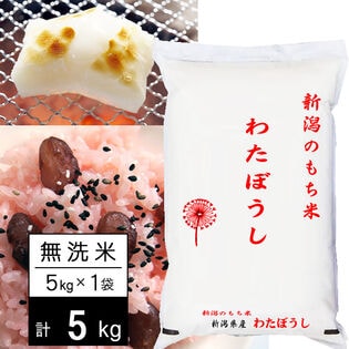 【5kg】令和7年産 おいしいもち米 新潟県産わたぼうし 無洗米