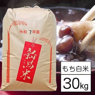 【30kg】新米 令和7年産 おいしいもち米 新潟県産わたぼうし 白米