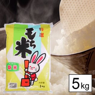 【5kg】令和7年産 もち米 山形県産 ヒメノモチ 白米