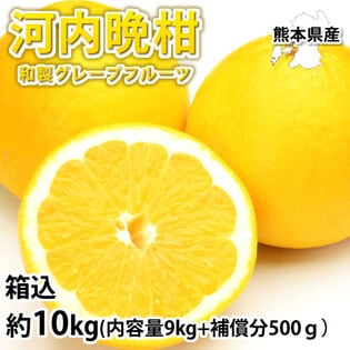 【箱込約10kg】熊本県産 河内晩柑（ご家庭用、傷あり）