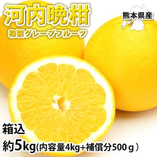 【箱込約5kg】熊本県産 河内晩柑（ご家庭用、傷あり）