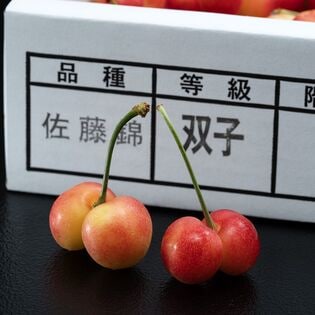 【予約受付】6/5~順次出荷【約1kg】双子さくらんぼ（佐藤錦 or 紅秀峰）【冷蔵】