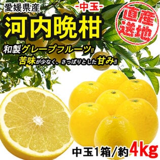 【約4kg】 愛媛県産河内晩柑 (中玉)