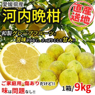 【9kg】 愛媛県産河内晩柑 (ご家庭用・傷あり) (サイズお任せ)