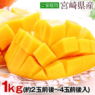 【1kg】本場宮崎県産 完熟マンゴー※ご家庭用（傷あり サイズ不選別）